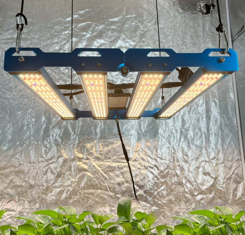 Kingbrite P55 240W Quantum Bar Grow Light