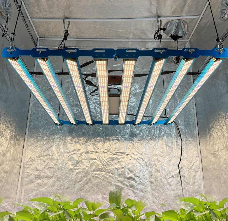Kingbrite P55 800W Quantum Bar Grow Light