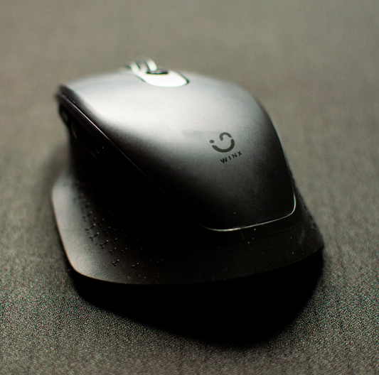 WINX DO More Wireless & Bluetooth Mouse